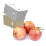 Apple Fuji Box 19.2Kgr