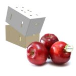 Red Delicious Apple Box 19.2Kgr